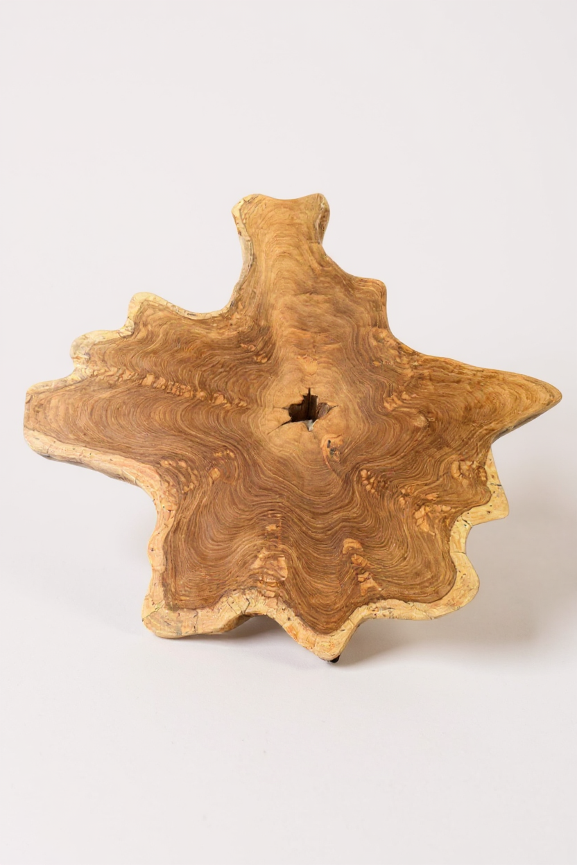 Holz Beistelltisch – Couchtisch Ablagetisch – Handgefertigt - Baumquerschnitt-Tischplatte aus Eibenholz – 40-80x40-60 cm