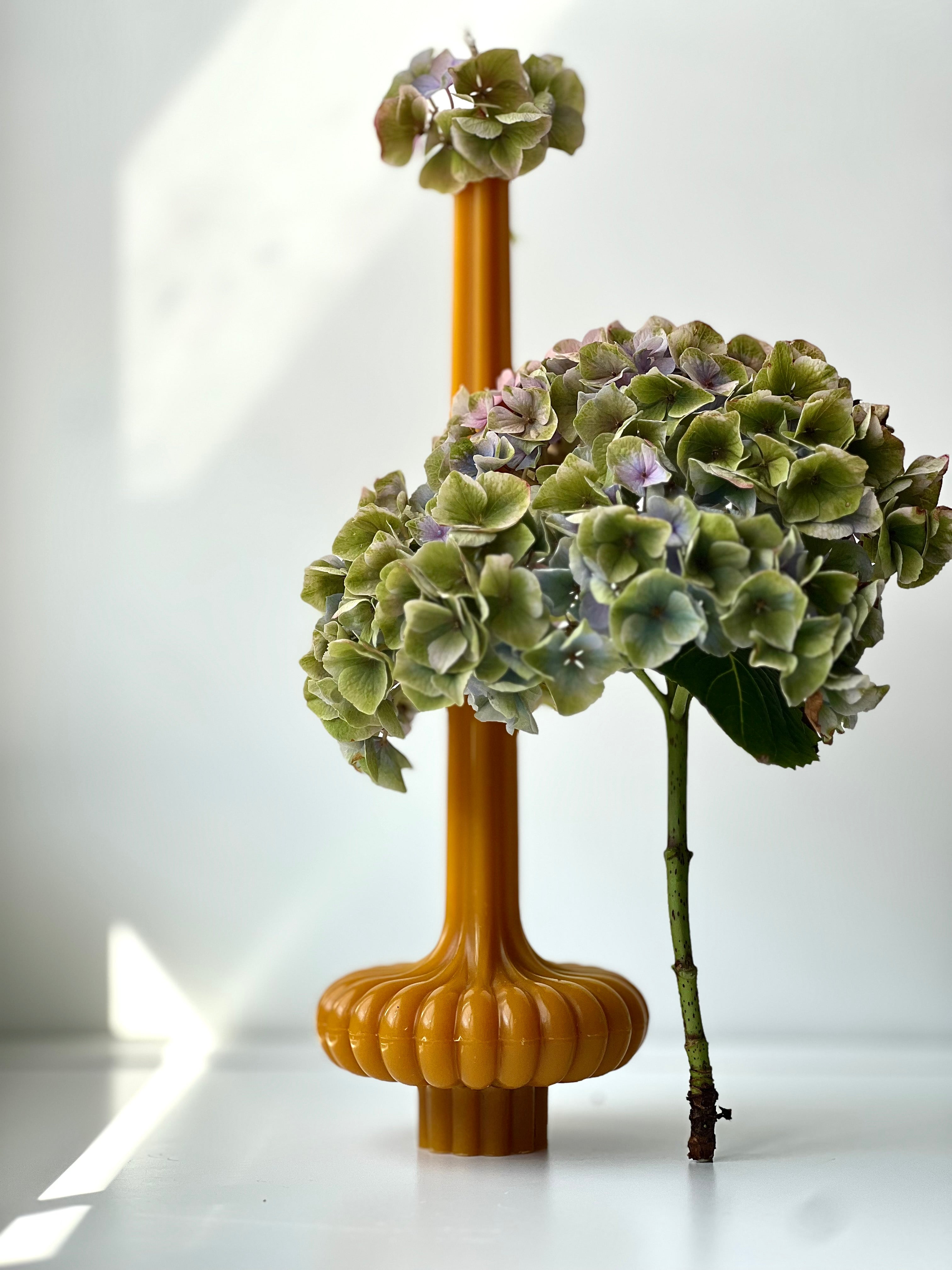 Bougie en cire d’abeille PARIS – Cire d’abeille originale – Coulée à la main – Pour pièces à vivre et décoration – 2 tailles