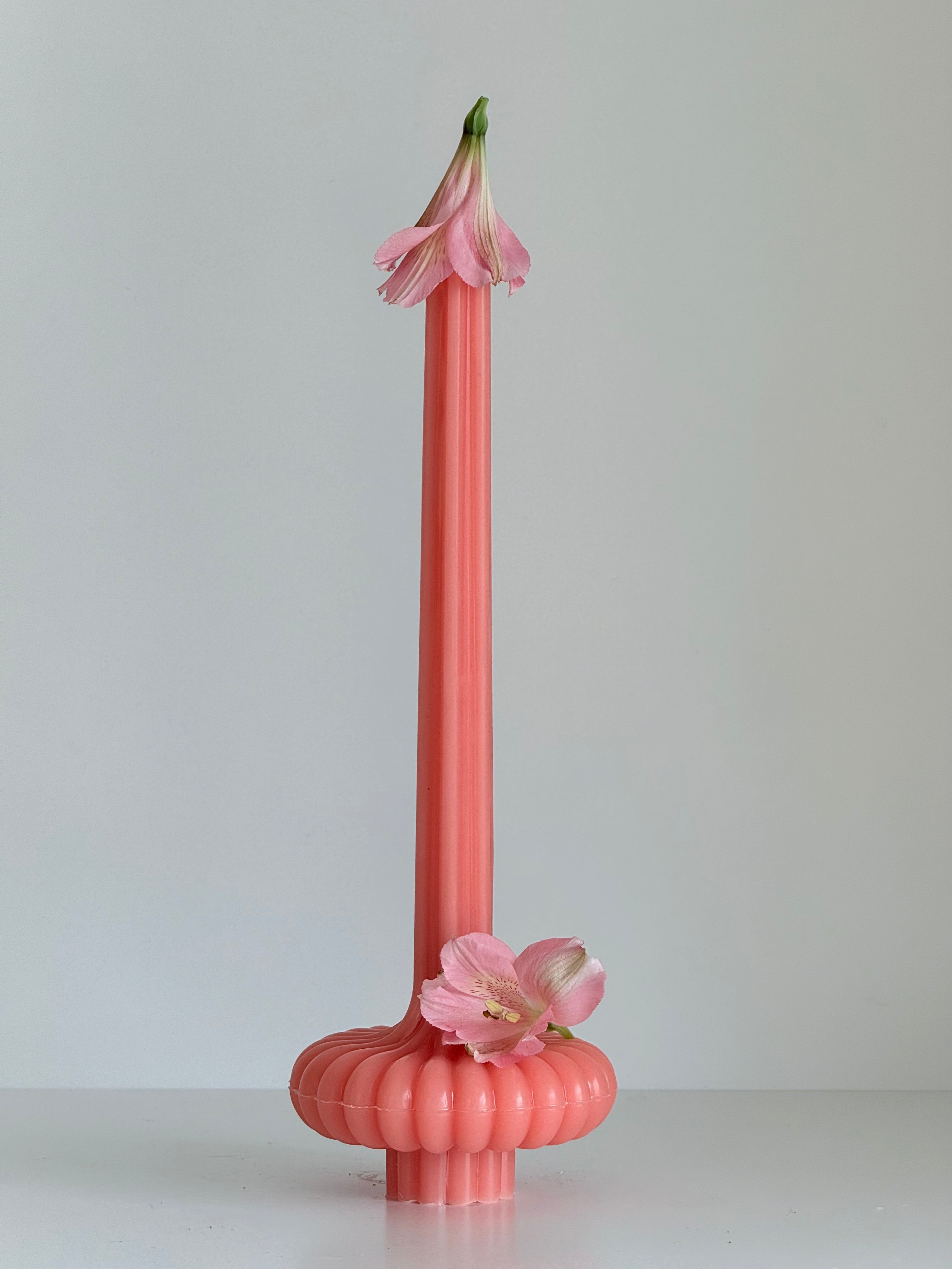 Bougie en cire d’abeille PARIS – Couleurs pastel – Coulée à la main – Pour pièces à vivre et décoration – 2 tailles