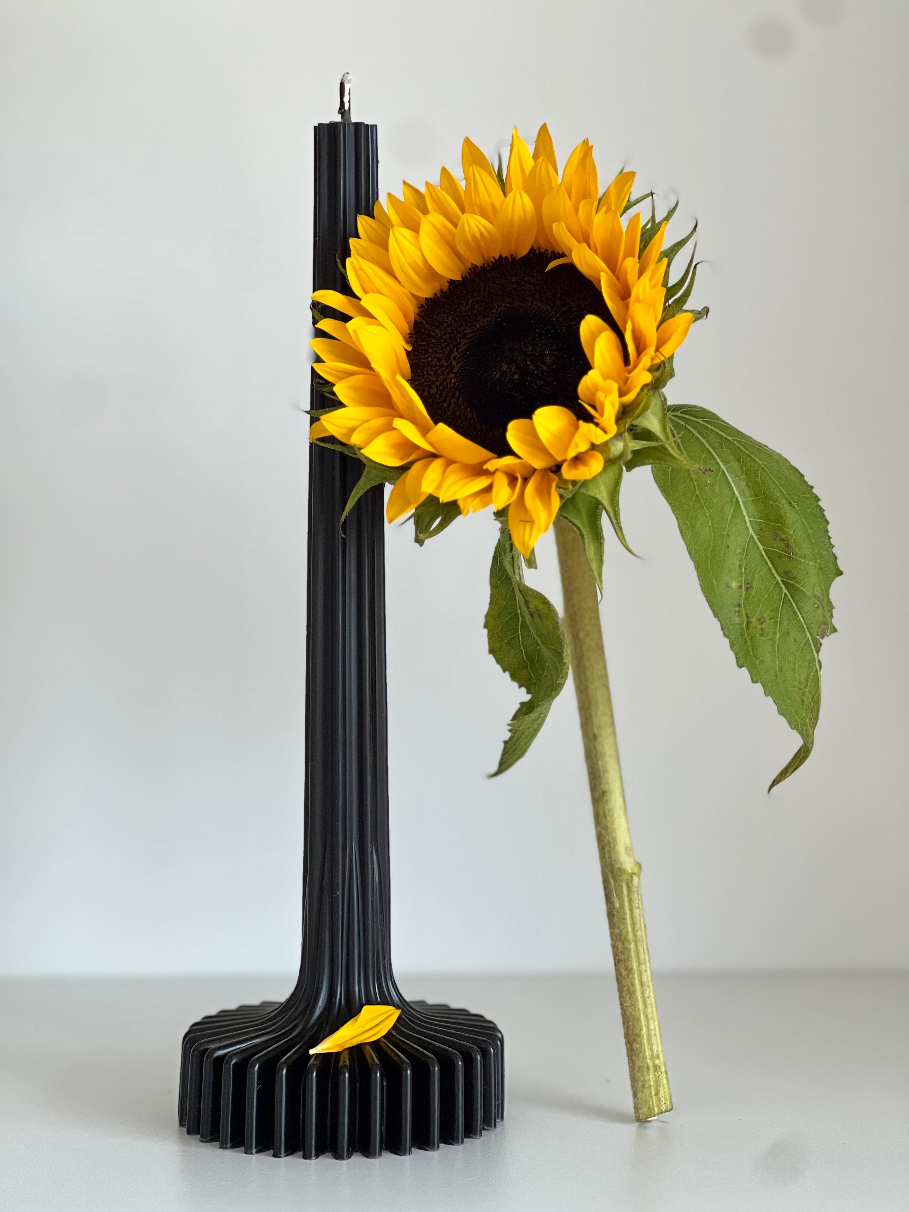 Bougie en cire d'abeille BERLIN – Noire – Coulée à la main – Pour salon et décoration – 2 tailles