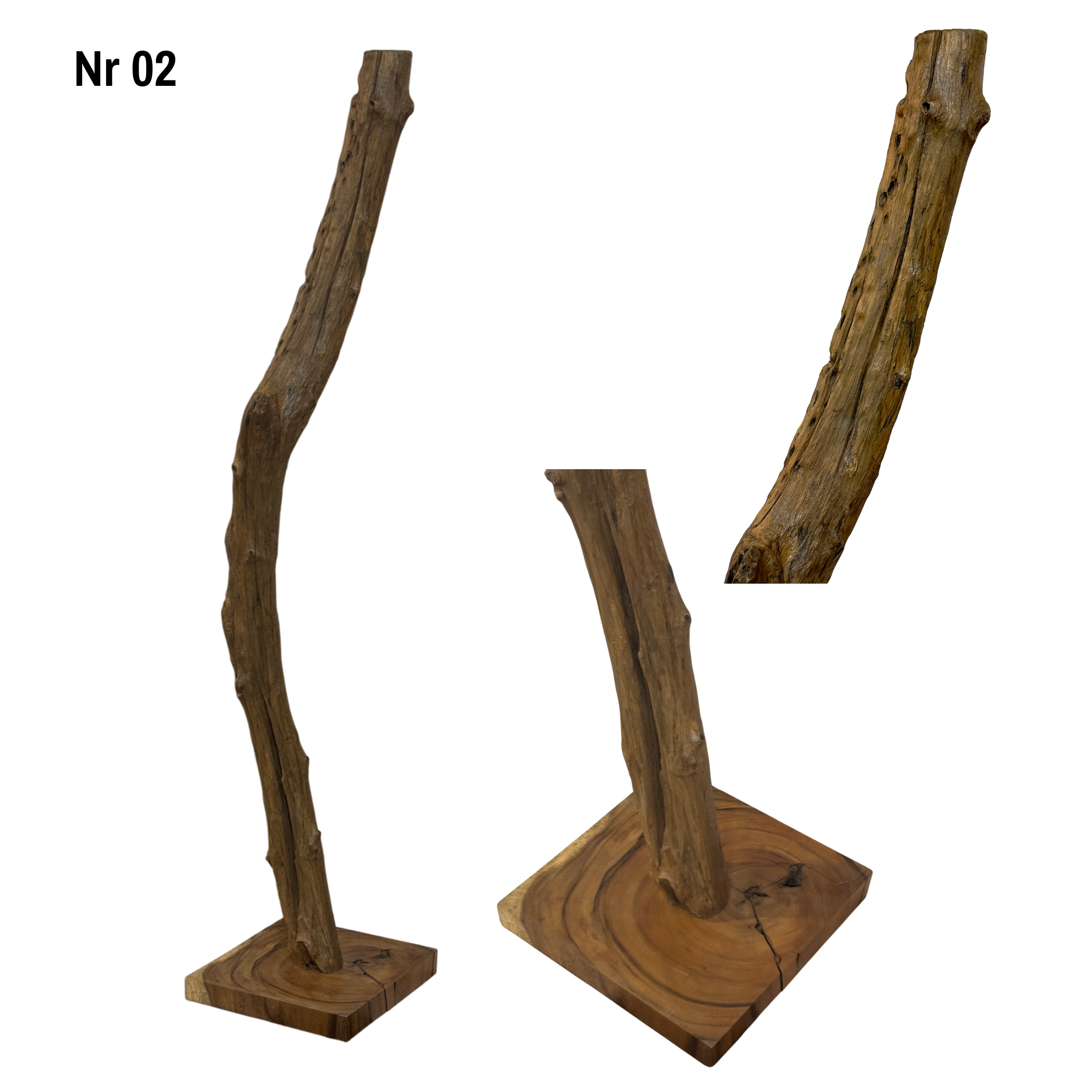 Teakwood base natural root – handmade solid wood unique, decorative wooden base for lamps & living room - 180–200 cm height Ø 8–13 cm