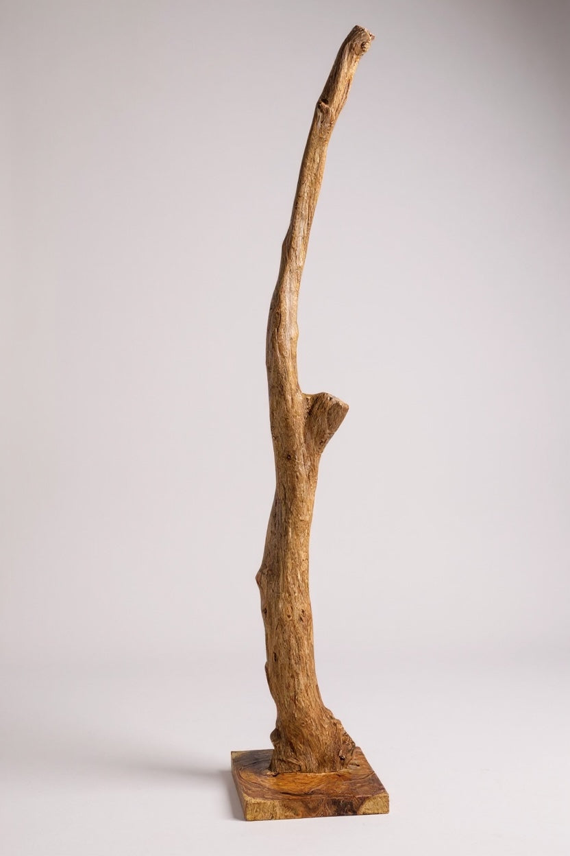 Teakwood base natural root – handmade solid wood unique, decorative wooden base for lamps &amp; living room - 180–200 cm height Ø 8–13 cm