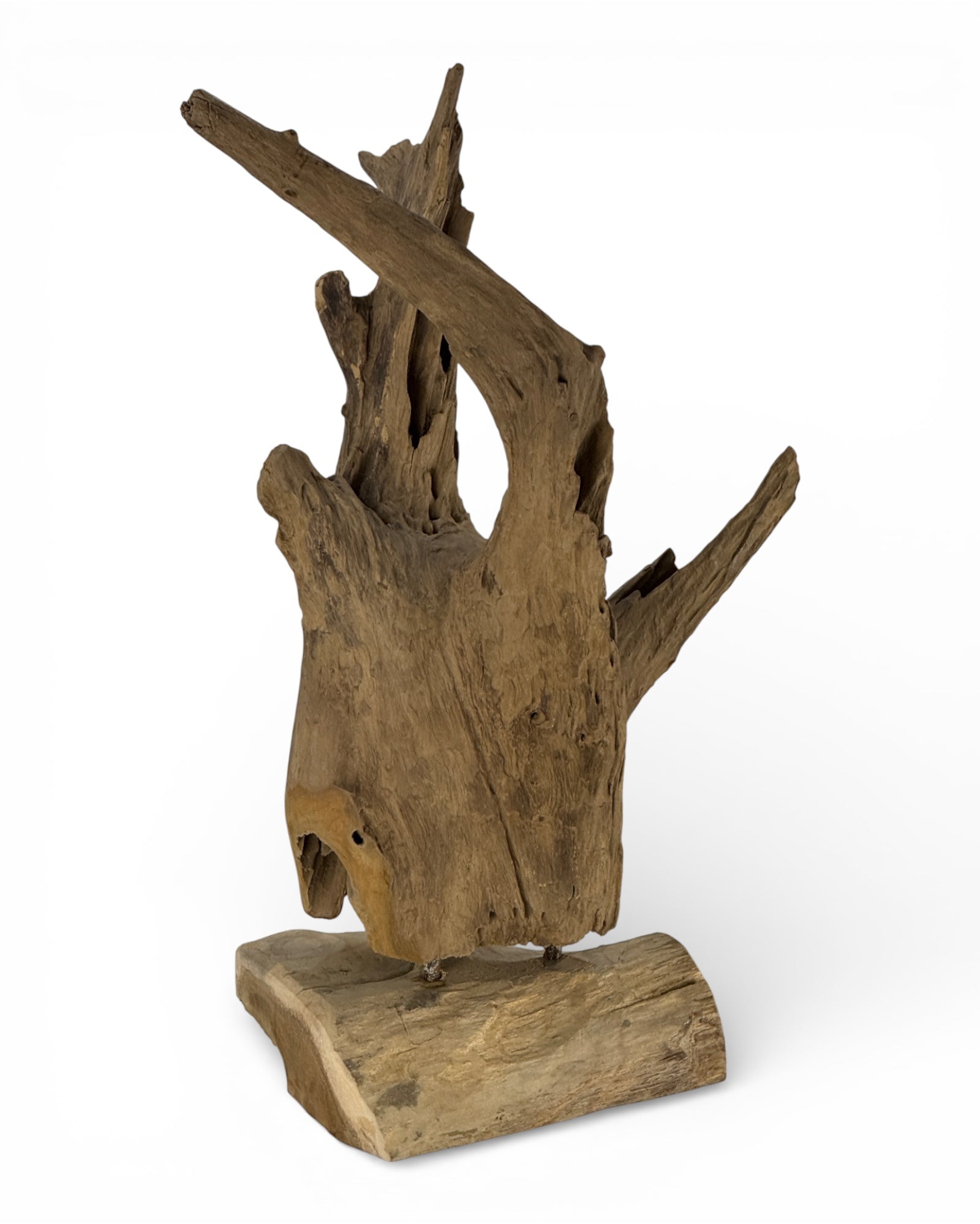 Unique piece: One-of-a-kind decorative object made of teak root wood - 52 × 38 × 23 cm