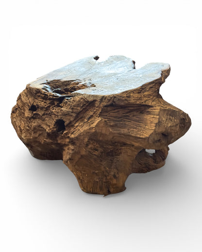 Unique piece: One-of-a-kind garden root wood table made of teak - 42 × 70 × 60 cm